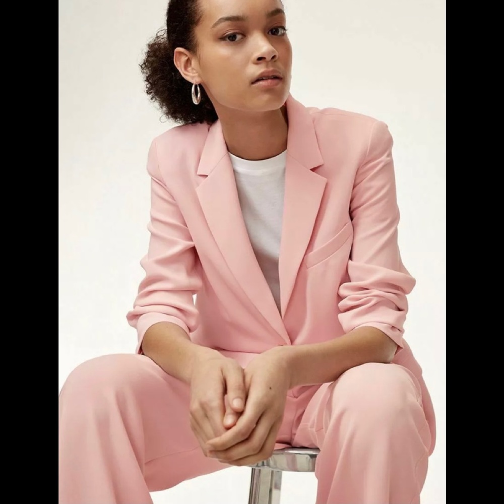 Aritzia Babaton Demy Blazer